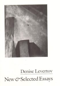 New & Selected Essays