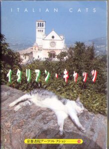 Italian Cats. A Souvenir Postcard Book