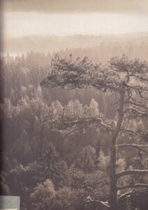 National Landscapes