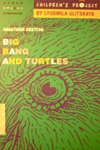 Big bang and turtles