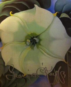 Georgia O’Keeffe: One Hundered Flowers