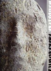 Magdalena Abakanowicz: Potnia Theron