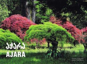 Ajara