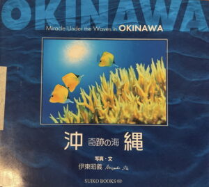 Miracle Under the Waves in OKINAWA
