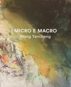 MICRO E MACRO