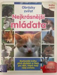 Obrazky zvirat – Nejkrasnejsi mladata