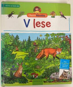 V lese