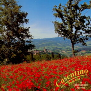 CASENTINO Toscana