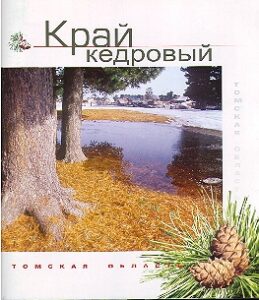 KRAY KEDROVIY. Tomskaya oblast.