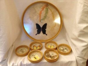 Round Tray and six matching coaster set
