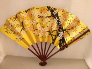 Fan