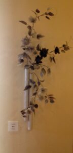 Clematis