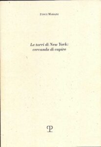 Le torri di New York:cercando di capire