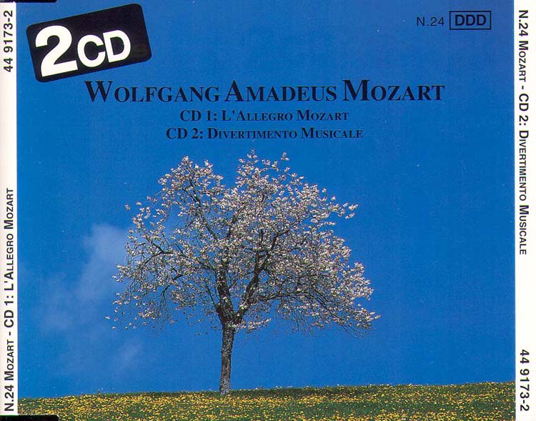 L’Allegro Mozart, Divertimento Musicale