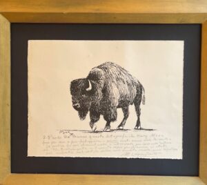 Il Bisonte